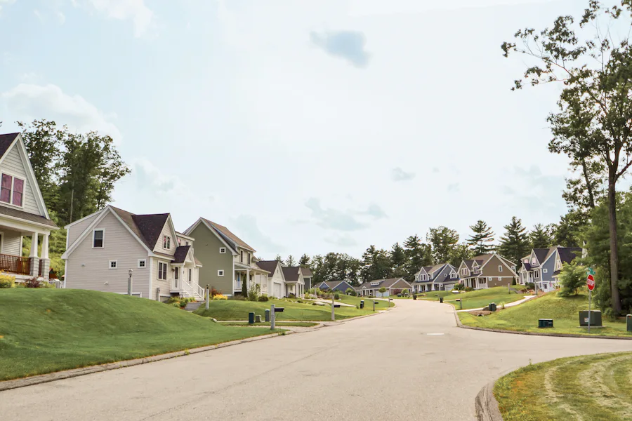 Street with Homes1.jpg